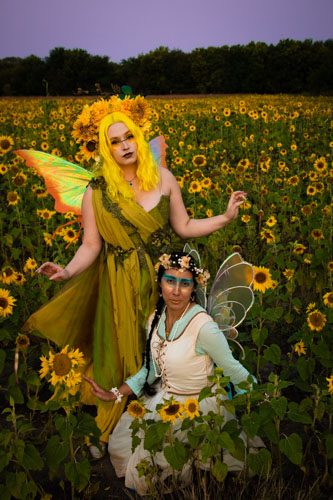 Fantasy photograph of two women in fairy costumes and fairy wings with flower headdresses, standing and kneeling in a field of sunflowers.